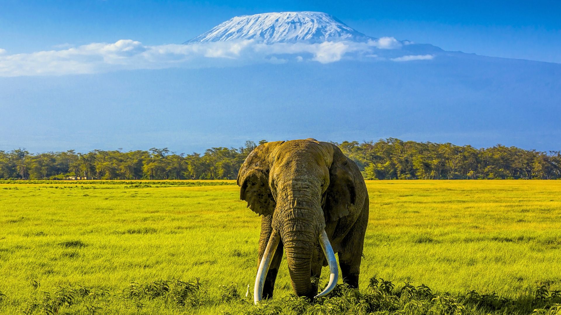 Kilimanjaro Machame Route - 7-Day Whiskey Trail